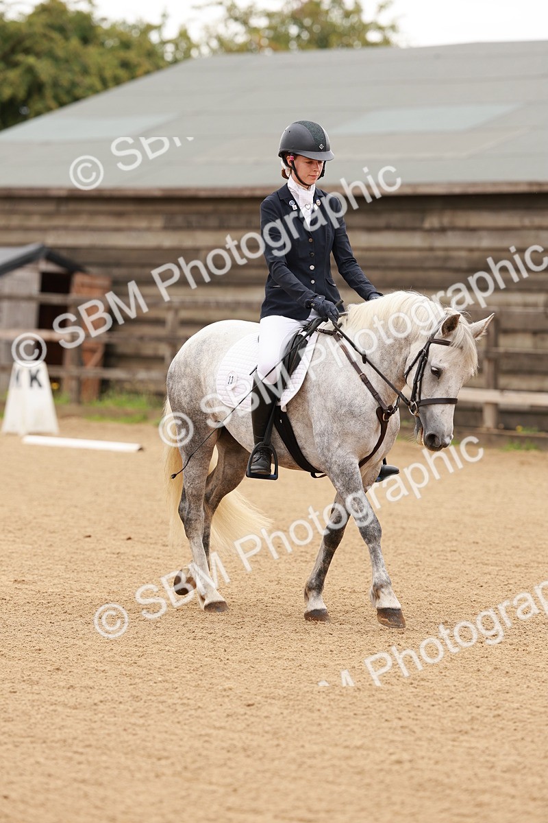 SBM_001027 - Intro 2