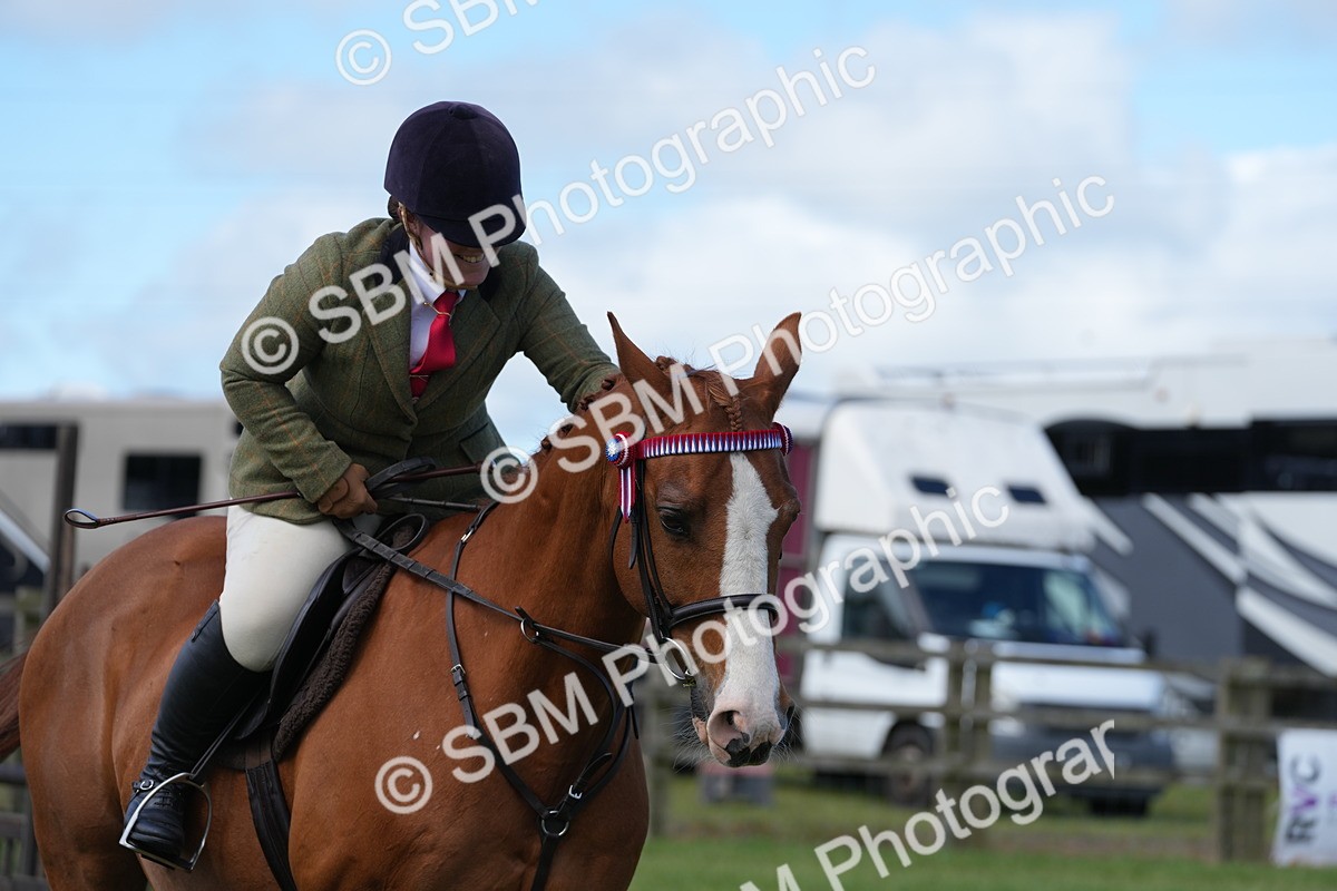 SBM_12964 - Class 99 - RIHS SEIB Working Show Horse