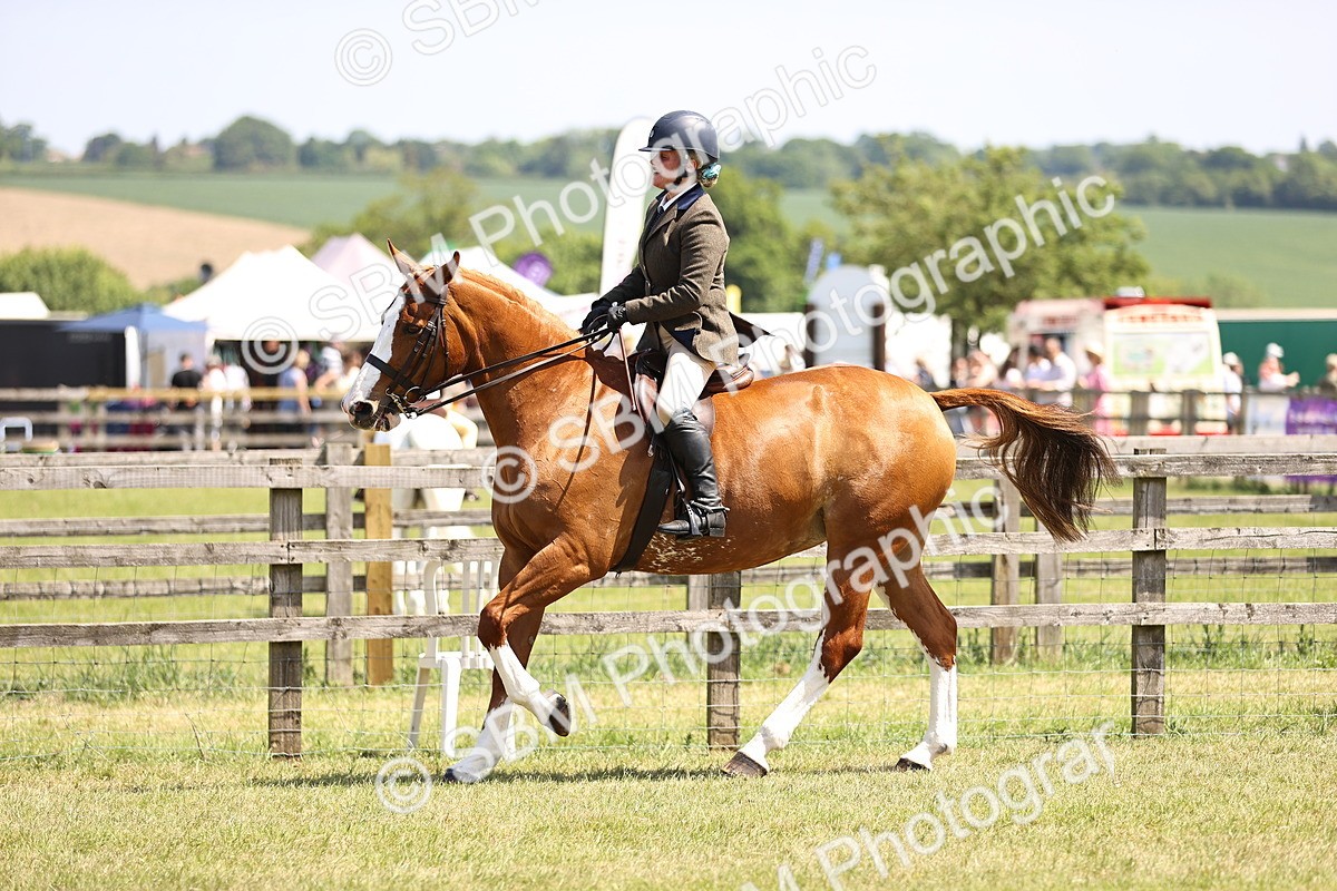 SBM_15097 - Class 79-80 - LIHS BSHA Rising Star Ridden Hunter