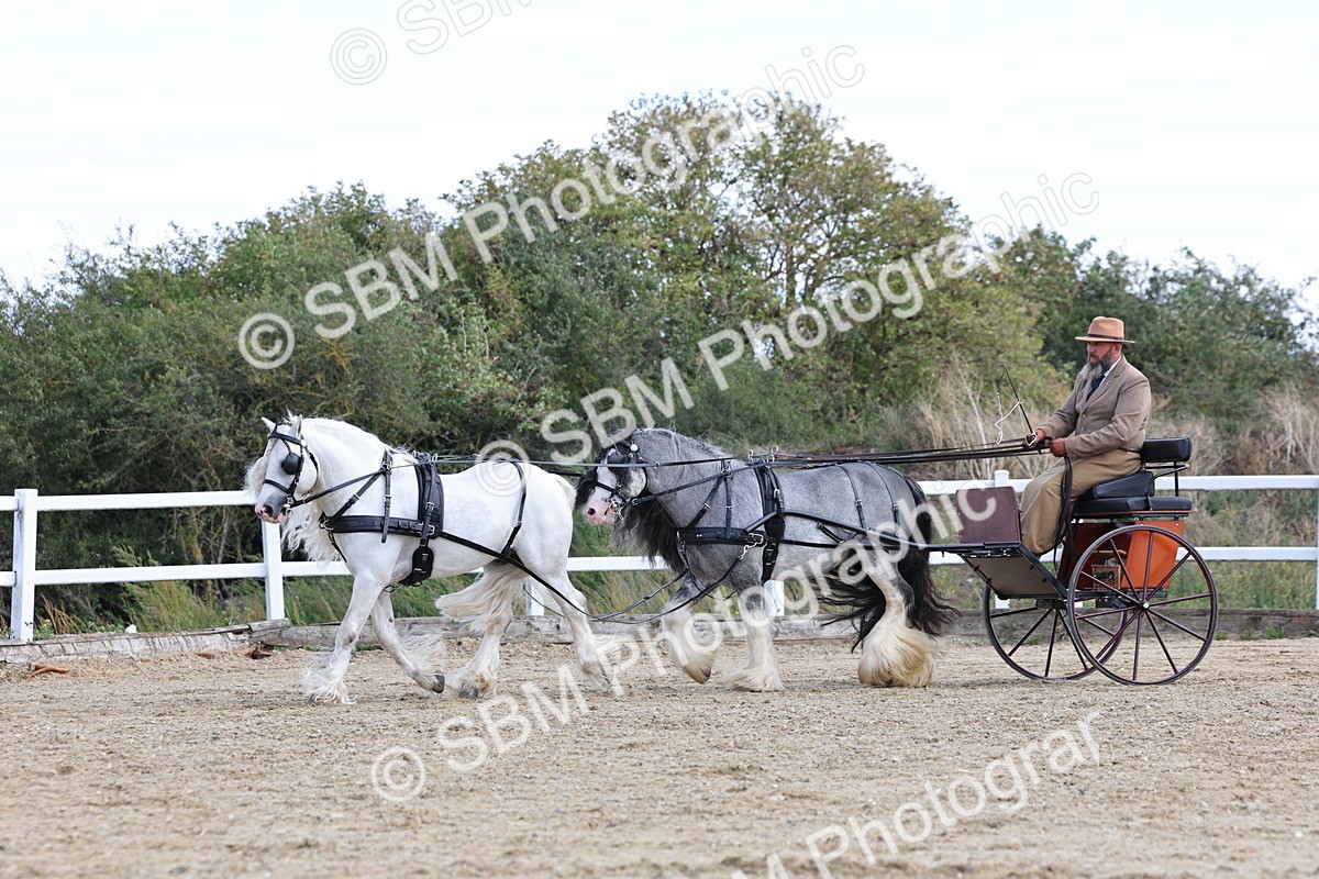SBM_001182 - Class 16 - Pairs ,Multiples and Tandems
