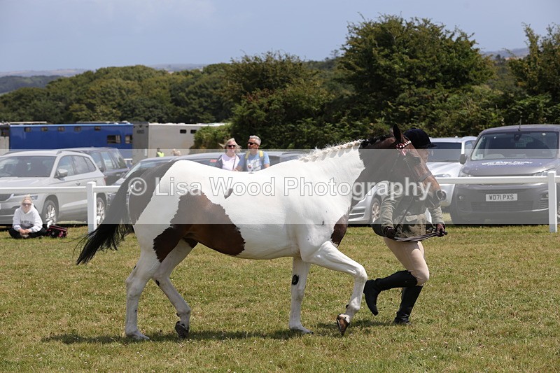 1X9A4826 - Class 35: Veteran In Hand