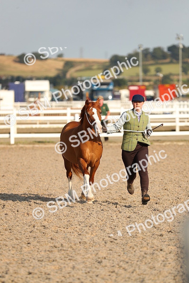 SBM_09012