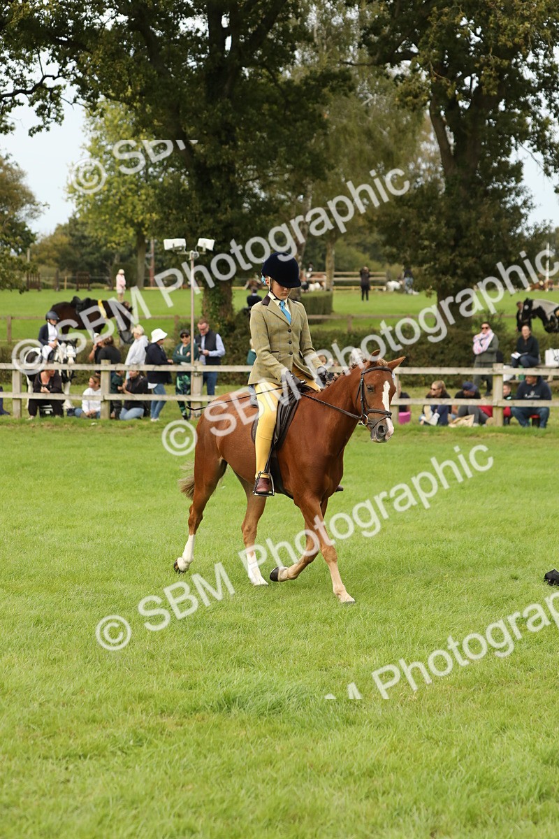 SBM_71643 - S41 - Ridden Equitation (Best Rider)