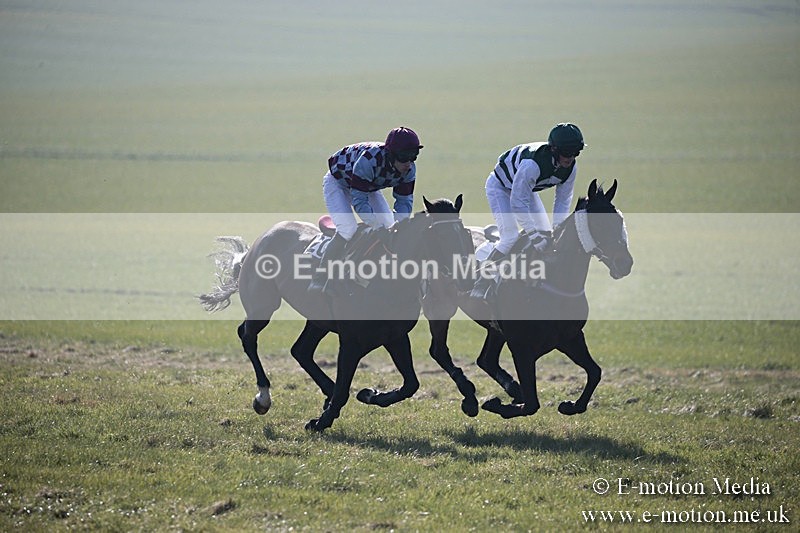 PtP 240218 3 - Vine & Craven Hunt Point-to-Point Barbury racecourse 24/02/18
