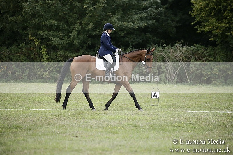 BVR090918 318 - BVRC Dressage and Show Jumping 09/09/18