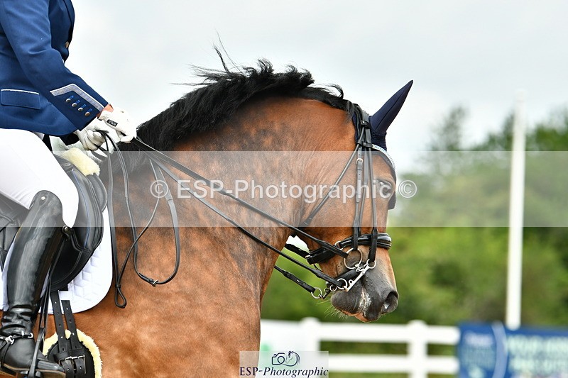 230701A-120940-06013 - Cls 8 Elementary 57