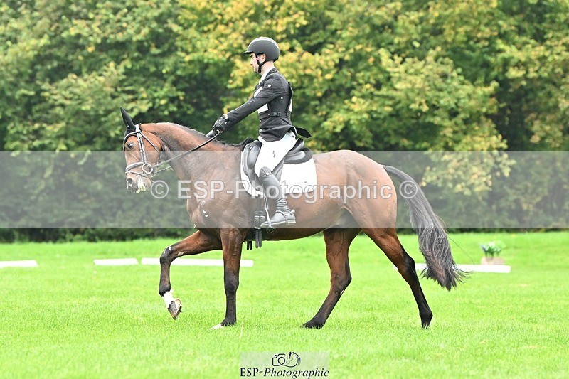 241024-144544-04363 - 584-Tommy.Greengard-I'M.ALL.IN