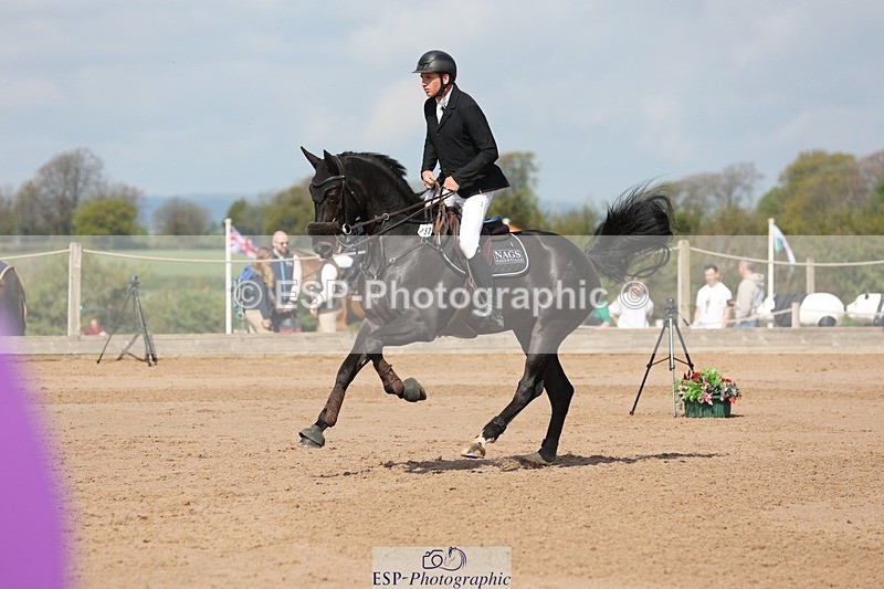 250427-105527-15698 - Cls 36 Young Horse 7yr old