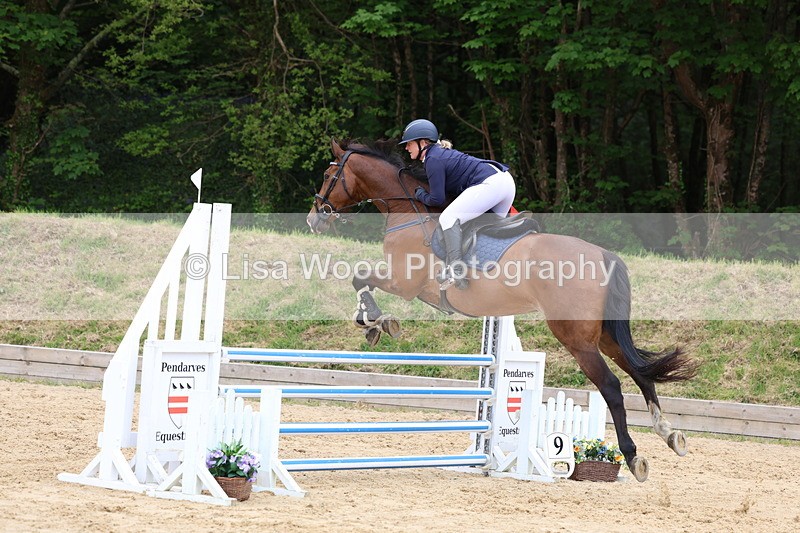 3E7A6323 - Class 4: Senior British Novice/90cm open