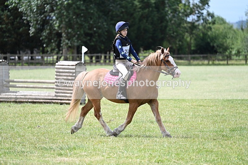 WJ7_5593 - 80cm XC Pairs