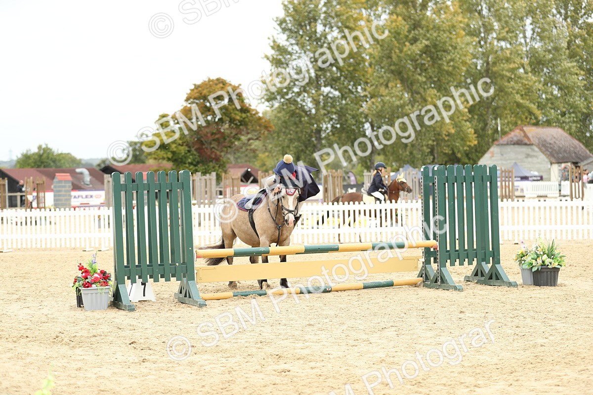 SBM_65730 - J48 - Pairs Jumping Open 70cm & 85cm