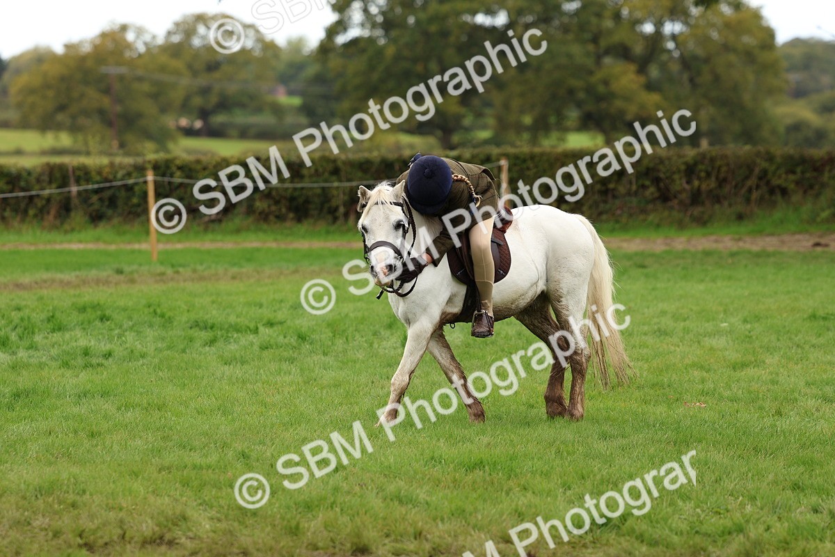 SBM_45115 - S27 - Young Veteran Ridden