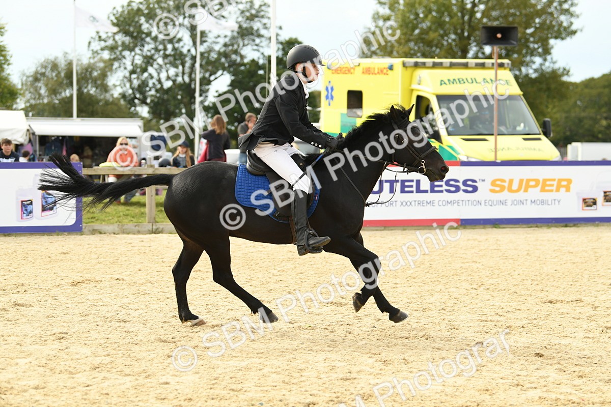 SBM_71116 - J15 - Junior Pony 70cm Championship