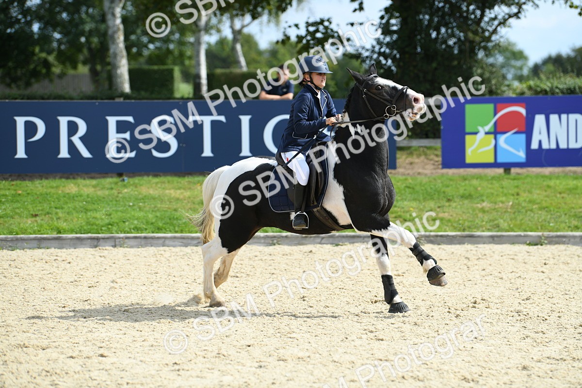 SBM_64900 - J48 - Pairs Jumping Open 70cm & 85cm