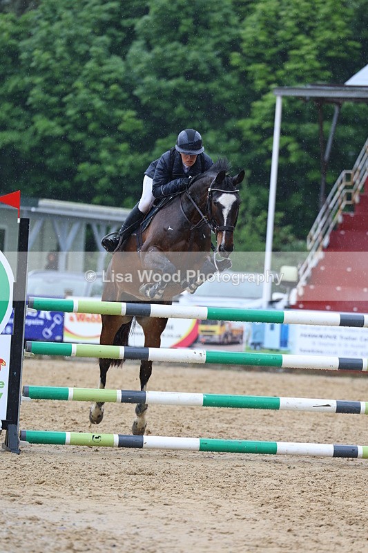 3E7A7442 - Class 8: Senior Foxhunter/1.20 open