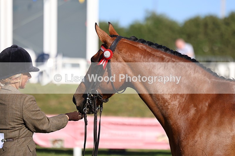 3E7A5119 - Class 1: Rising Star Small Hack/Riding Horses