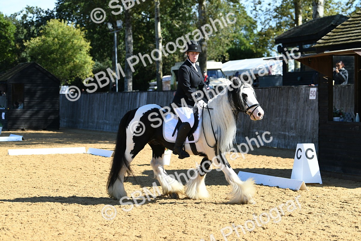 SBM_18059 - D4 - Small Tour Championship - Intro B