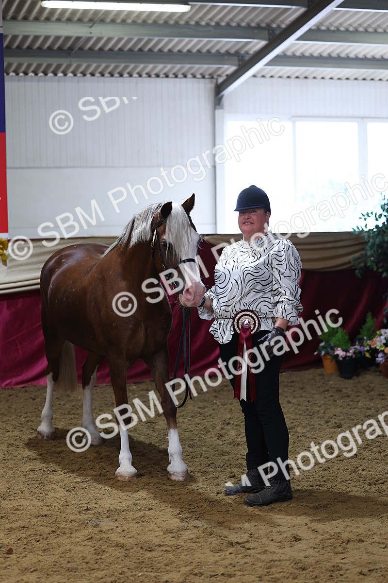 SBM_22991 - Class 903 - Supreme Final - IH Pre Vet