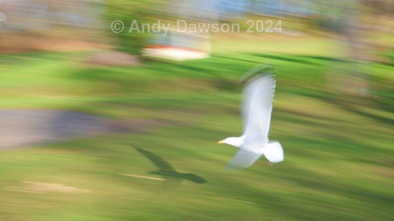  - Movement
