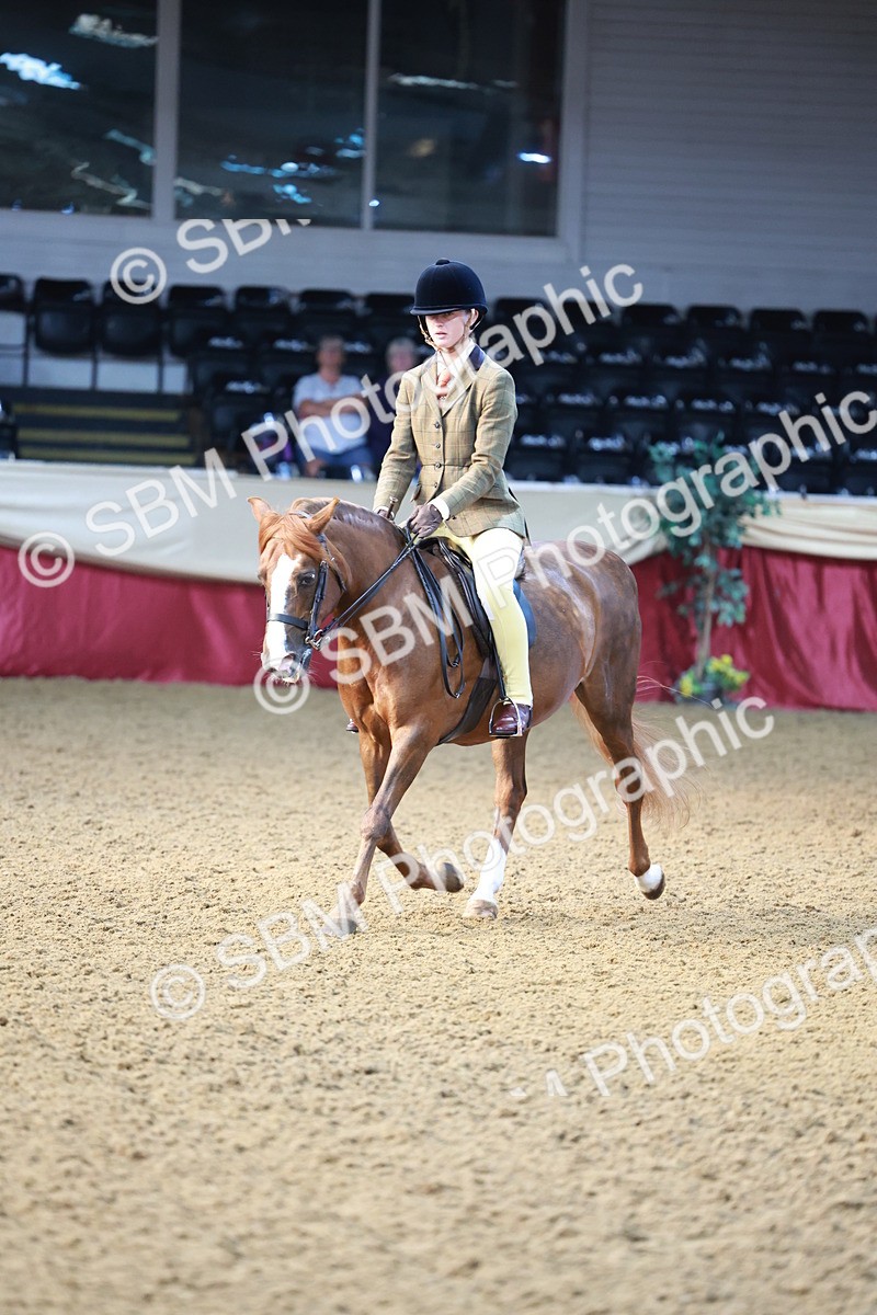 SBM_11842 - Class 102 - Equitation (Best Rider) Adult