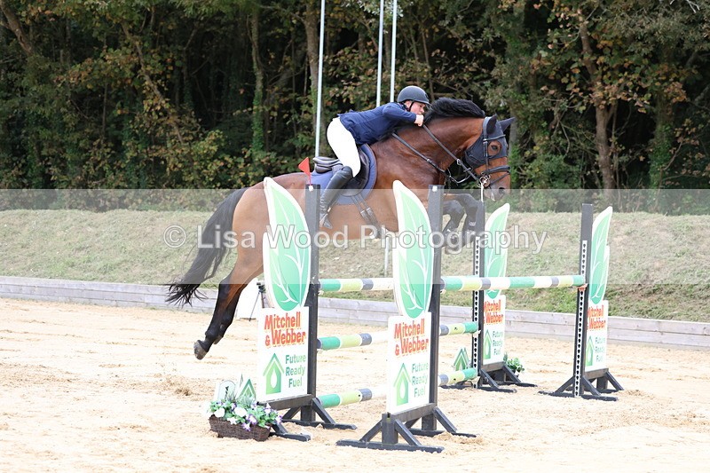 3E7A3432 - Class 9: Senior Foxhunter/1.20 open