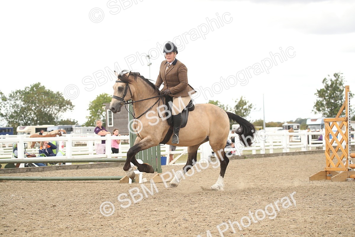 SBM_16676 - Class 507a - Working Veteran - 60cm (15-19)