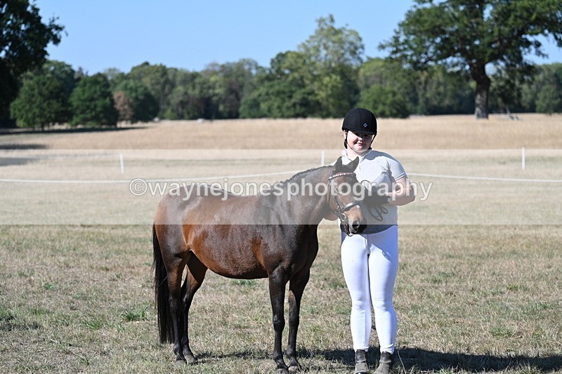 WJ7_2106 - Class 44 Child's Best Friend