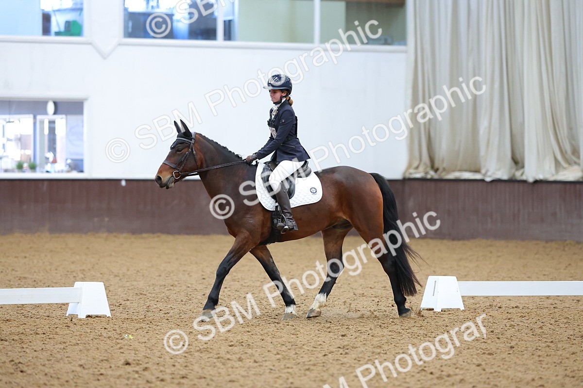SBM_003011 - Novice