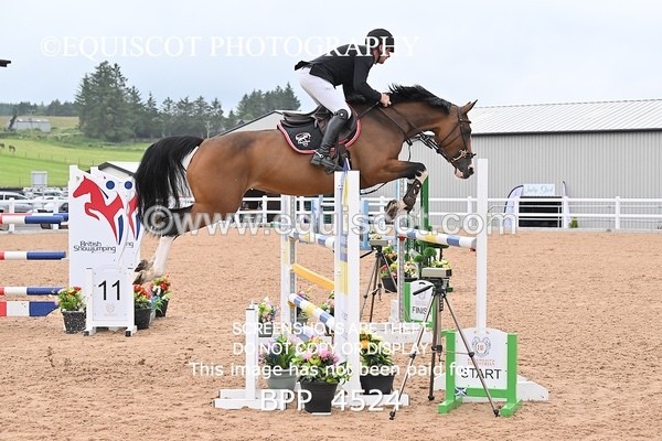 BPP_4524 - CLASS 5 WED Redpost Equestrian Senior Foxhunter/1.20m Open