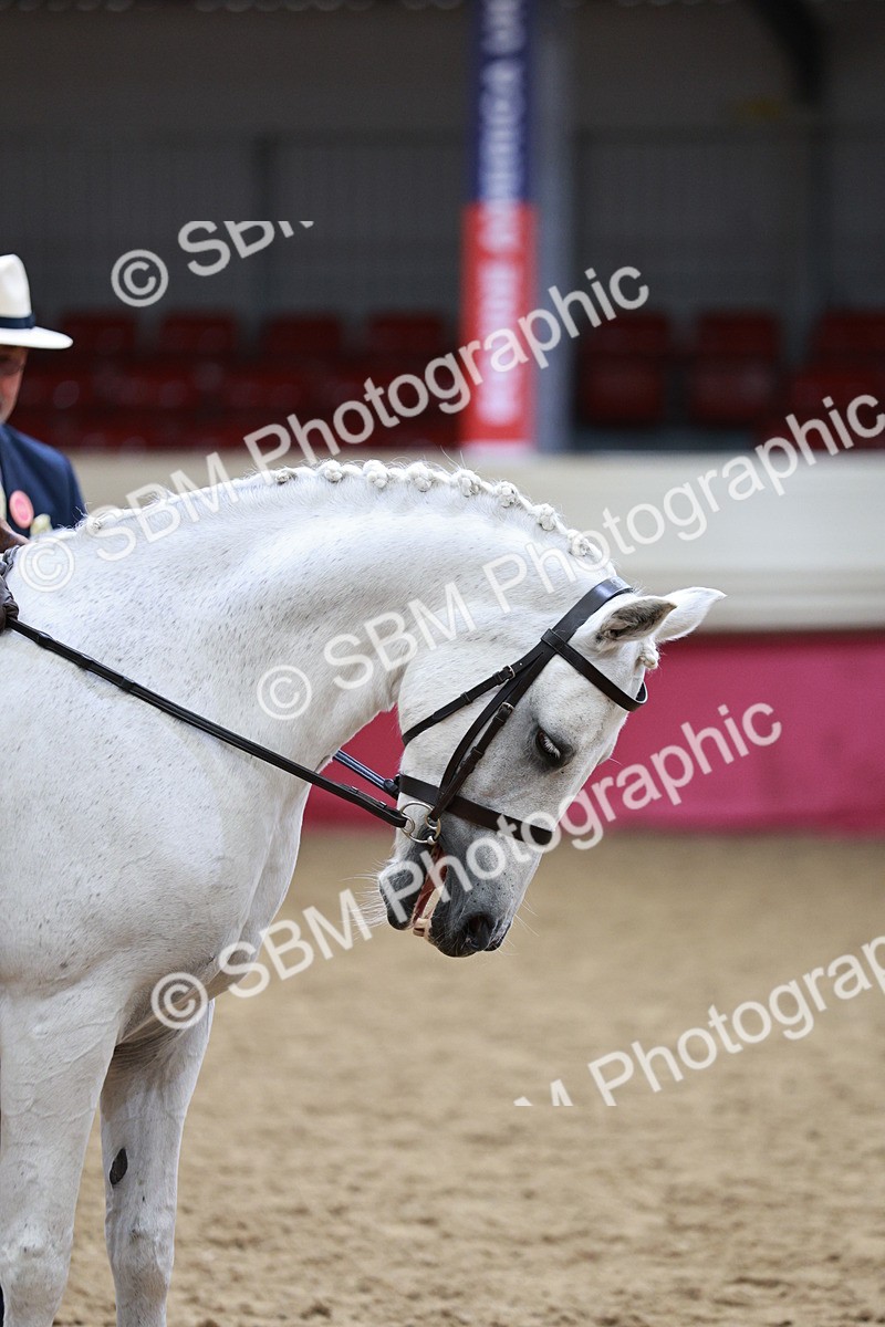 SBM_03023_Class 5a - Area - Ridden Veteran - Vicky Gutteridge