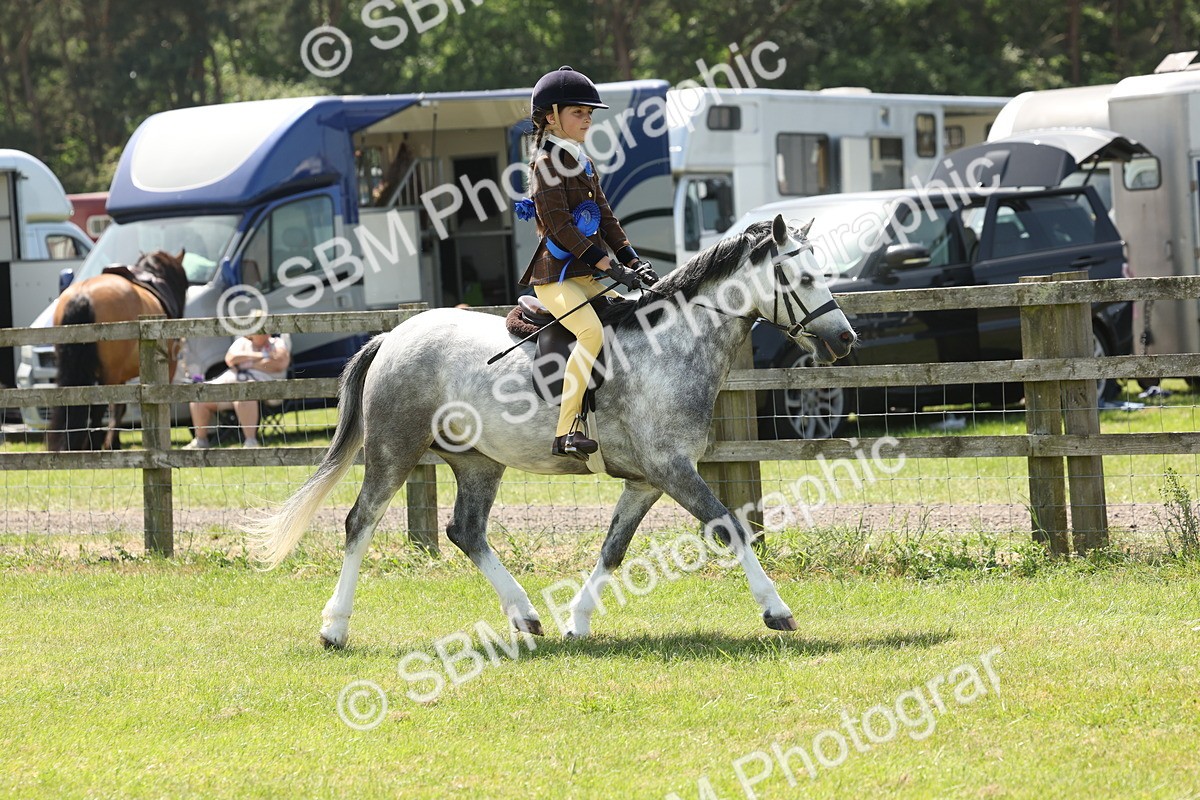 SBM_05437 - Class 24-25 - Mountain & Moorland In Hand Lead Rein and First Ridden