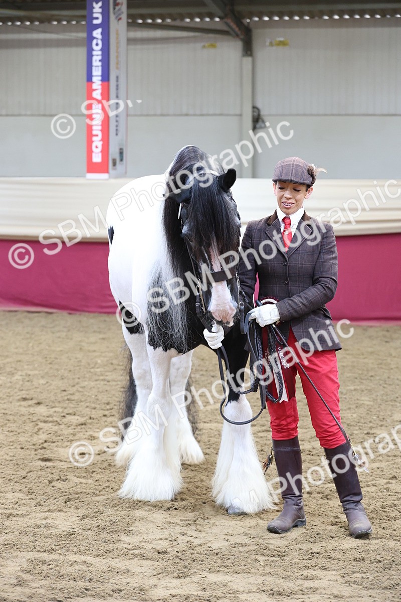 SBM_21896 - Class 901 - Supreme Final - IH  Diamond