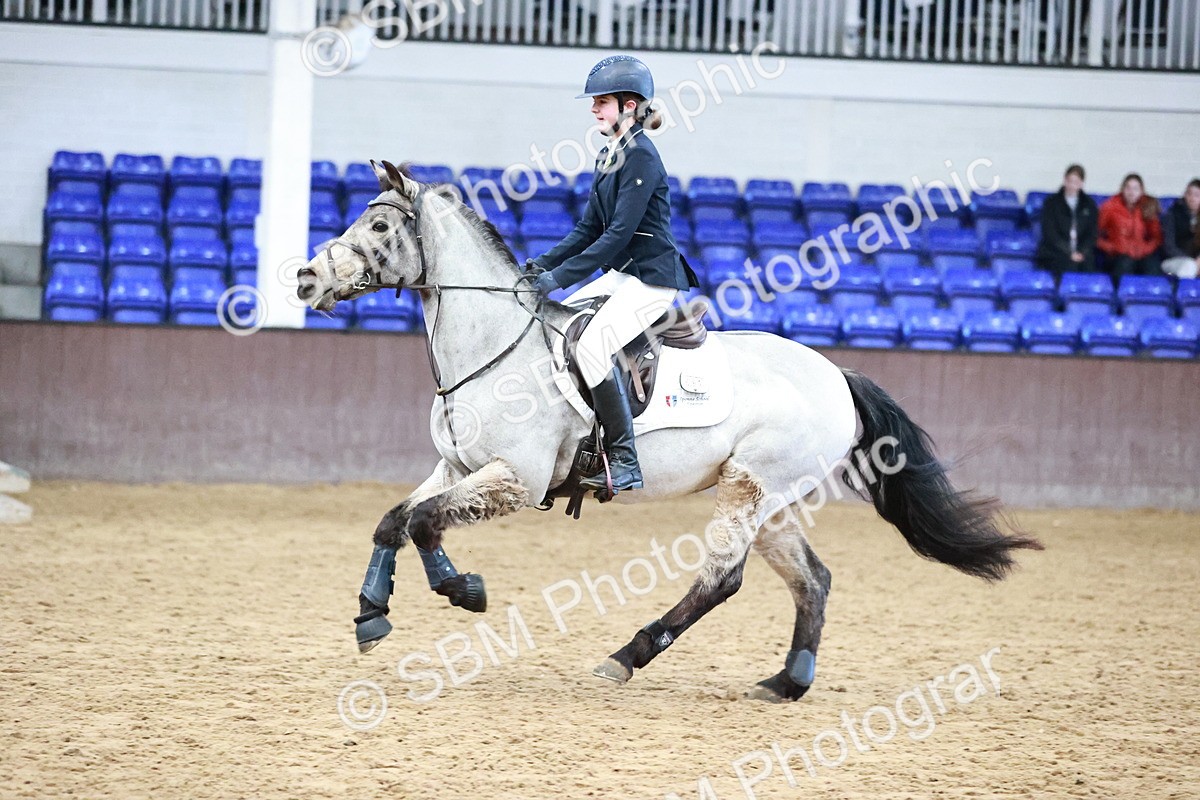 SBM_000584 - Class 2 - 80cm