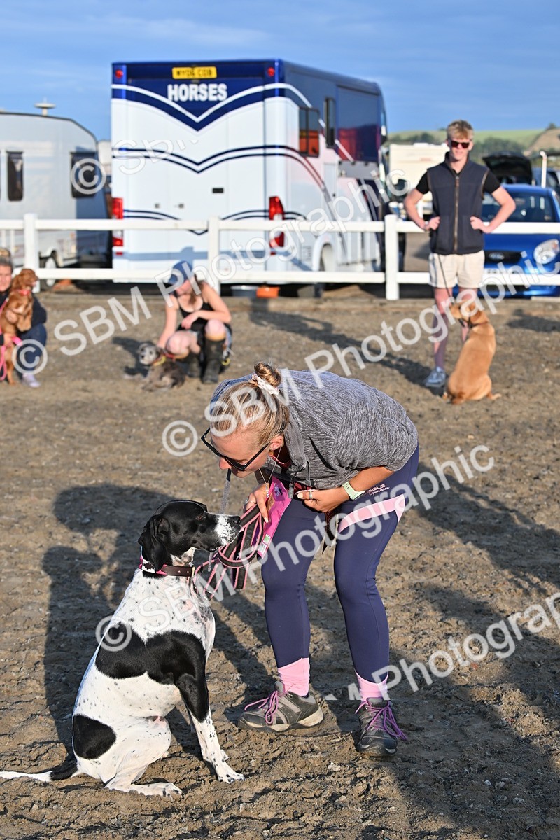 SBM_09458 - Lorry Dogs