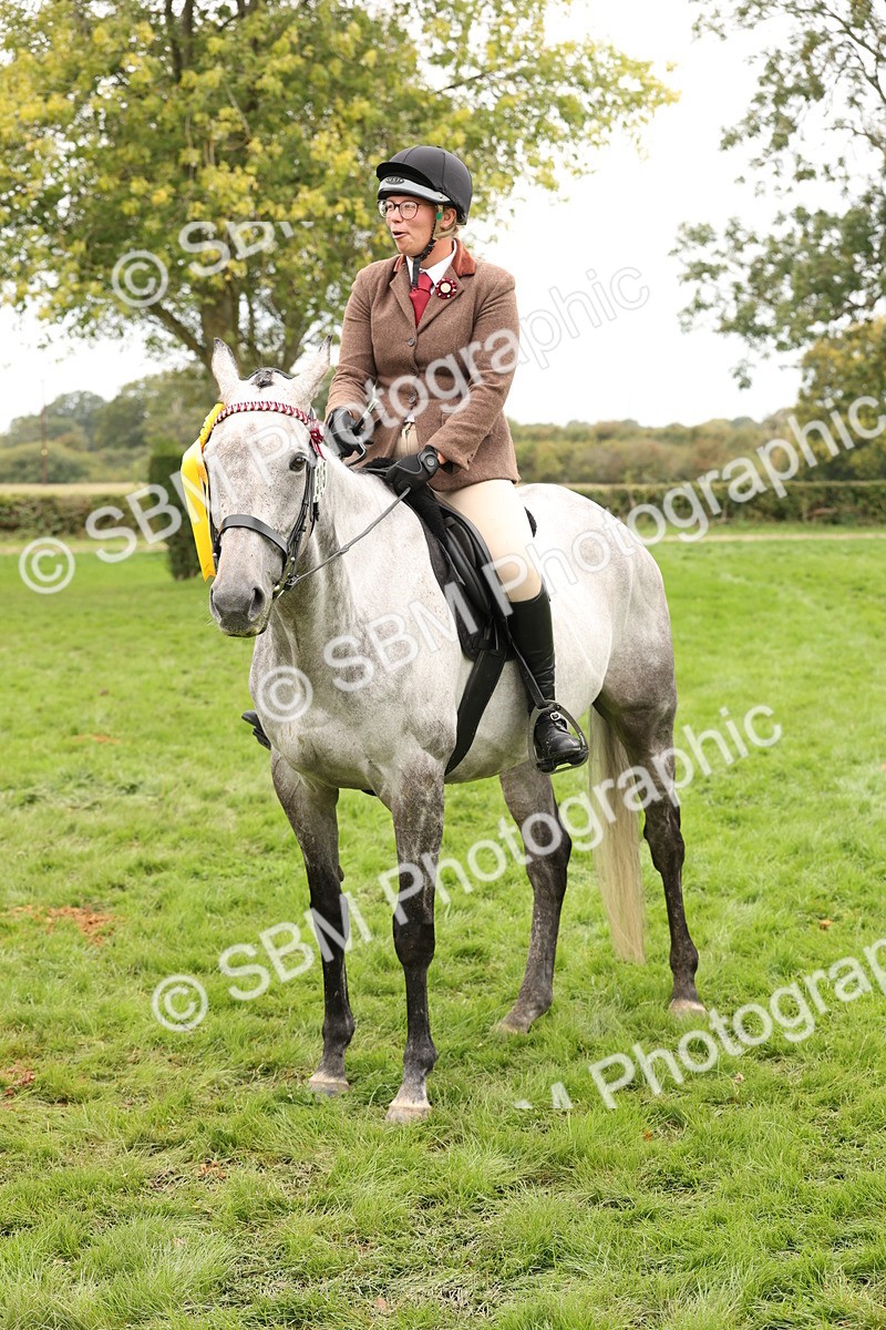 SBM_64351 - S65 - Riding Horse & Hack & Thoroughbred Ridden