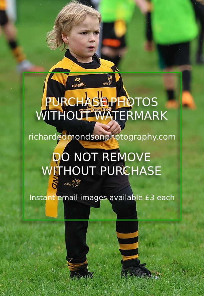 533A9264 - Kendal Rugby Under 8's