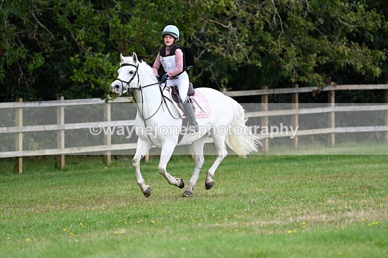 WJ7_8444 - 60cm Time 12:11 to 12:30