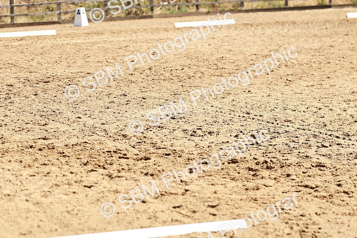 SBM_000830 - Class 12 - DR P1