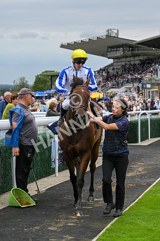 150824-Race 3-Go On Rosie-7893 - Race 3