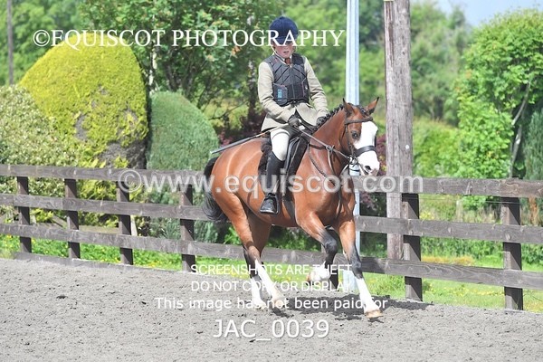 JAC_0039 - CLASS 3 Intermediate Working Hunter (0.70m - 0.85m)