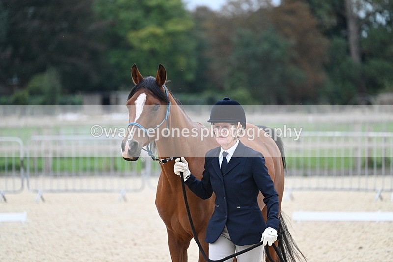 WJ7_1868 - Class 1 & Champs