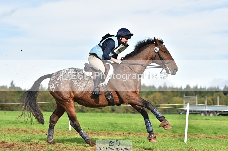 231021-142150-18895 - 482-ODDSPOT.VITAL.ELEMENT-Danielle.Davies-SC+XC