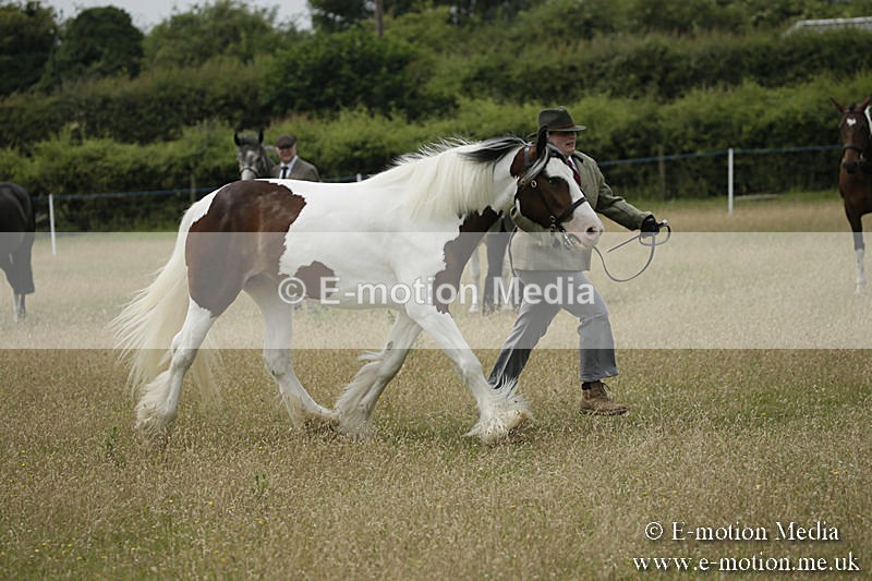 B230619-0390 - Bourne Valley Riding Club Summer Show 23/06/19