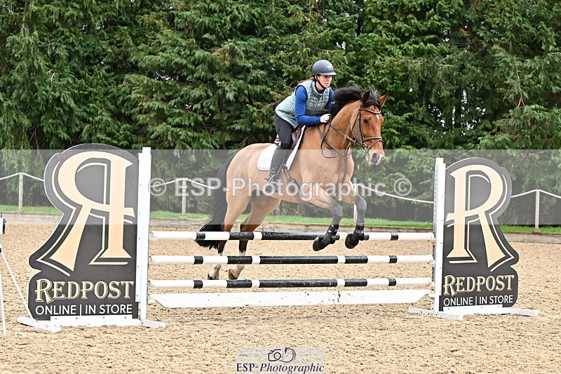 250201A-112110-00384 - Cls 02 Local Horse 100cm