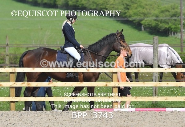 BPP_3743 - CLASS 3 Senior British Novice/ 90cm Open