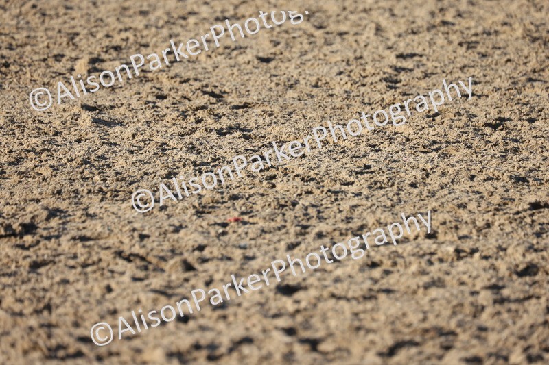 20251102-1238 - Class 8 - Medium 6