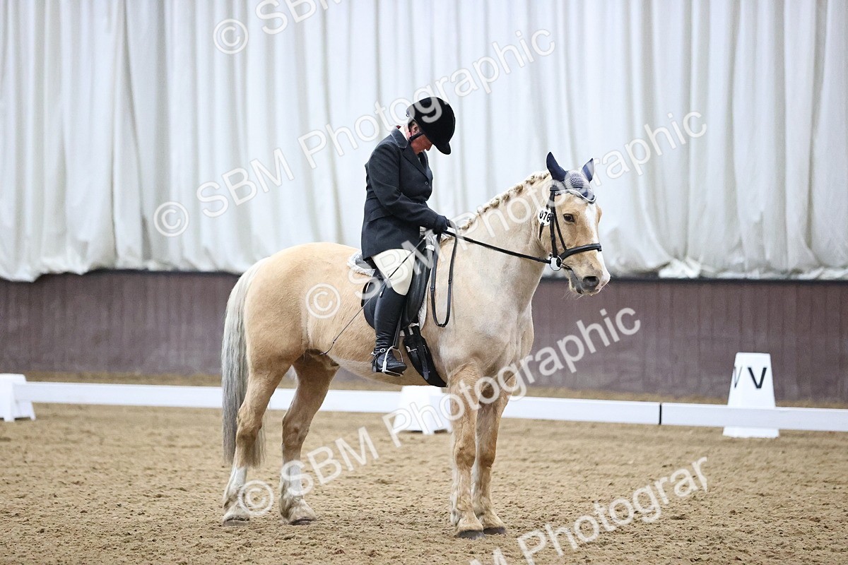 SBM_002480 - Class 11-5 - FSM Ele-Preli