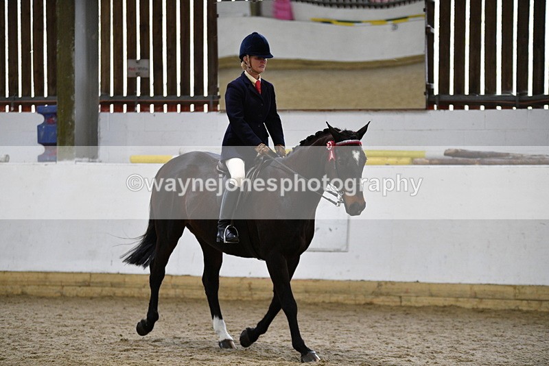 WJ5_7844 - Class 13 Ridden Part Breed