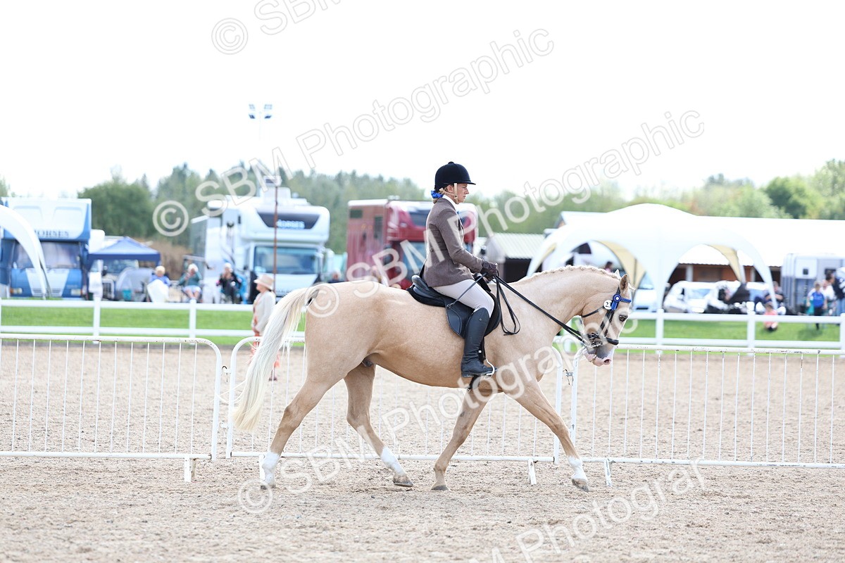 SBM_17095 - Class 315 - Best Horse - Rider Combination