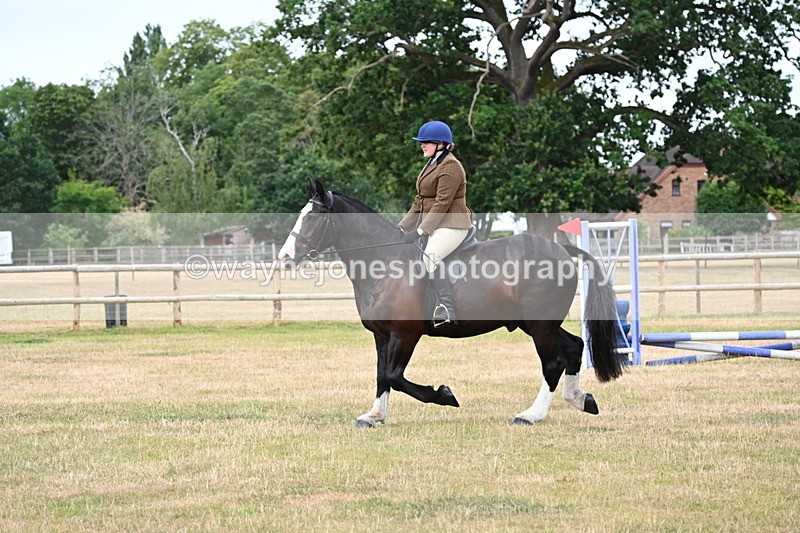 WJ6_3867 - Class 9 Tack & Turnout